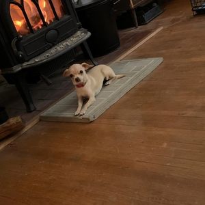 Meet your Posher, Douglas